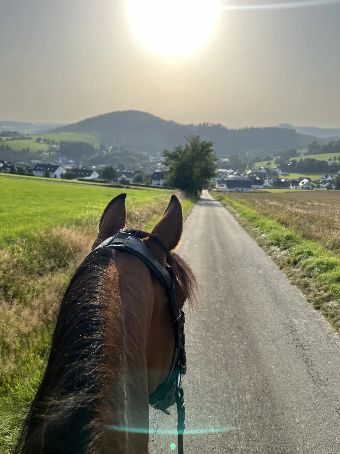 Pferderanch Sauerland – eine ruhige Auszeit vom Pferderücken aus