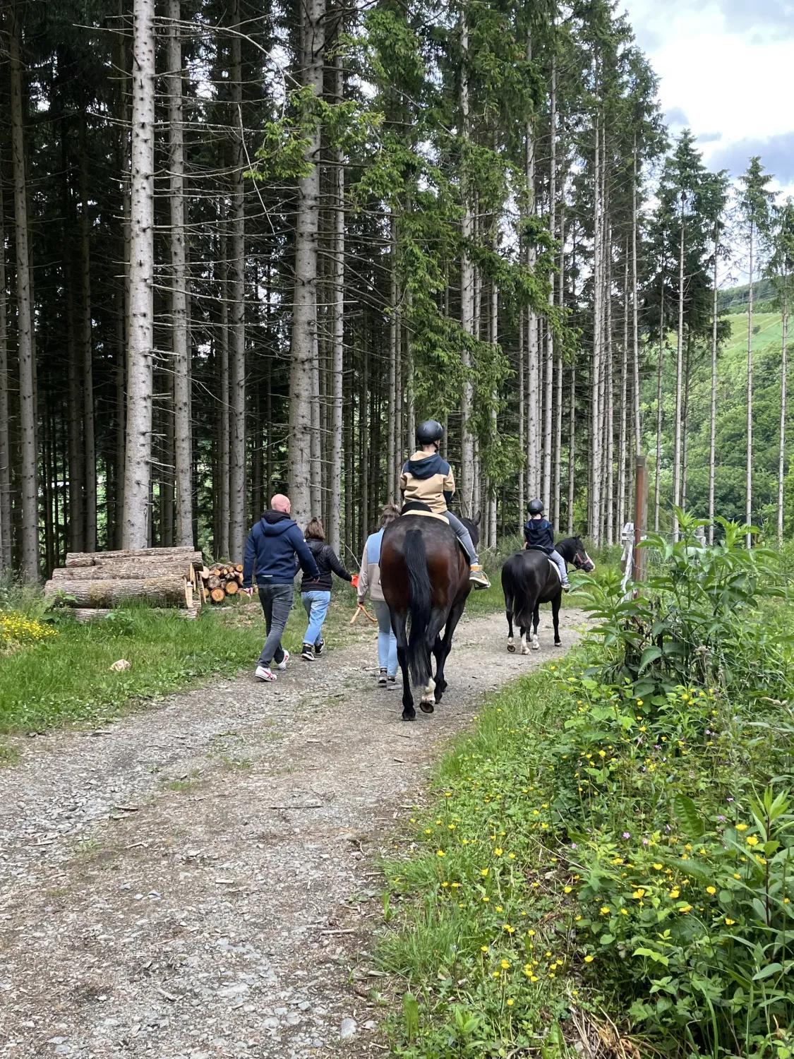 Pferderanch Sauerland – eine Gruppe von Menschen, die Reiten oder Ponyreiten im Wald betreiben