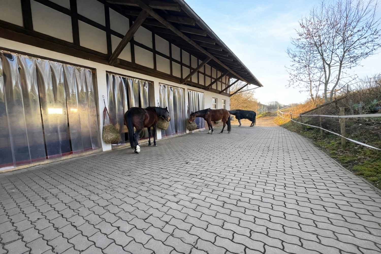 Pferderanch Sauerland – ein Pferdestall