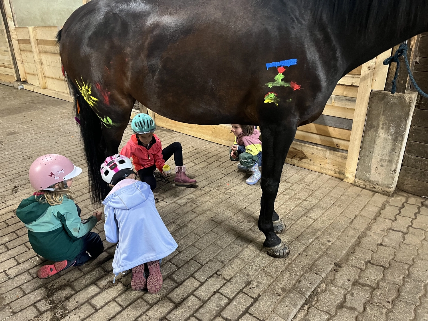 Pferderanch Sauerland – ein Pony, dessen Hinterteil mit bunten Farben bemalt ist und dessen Schweif mit Federn verziert ist.