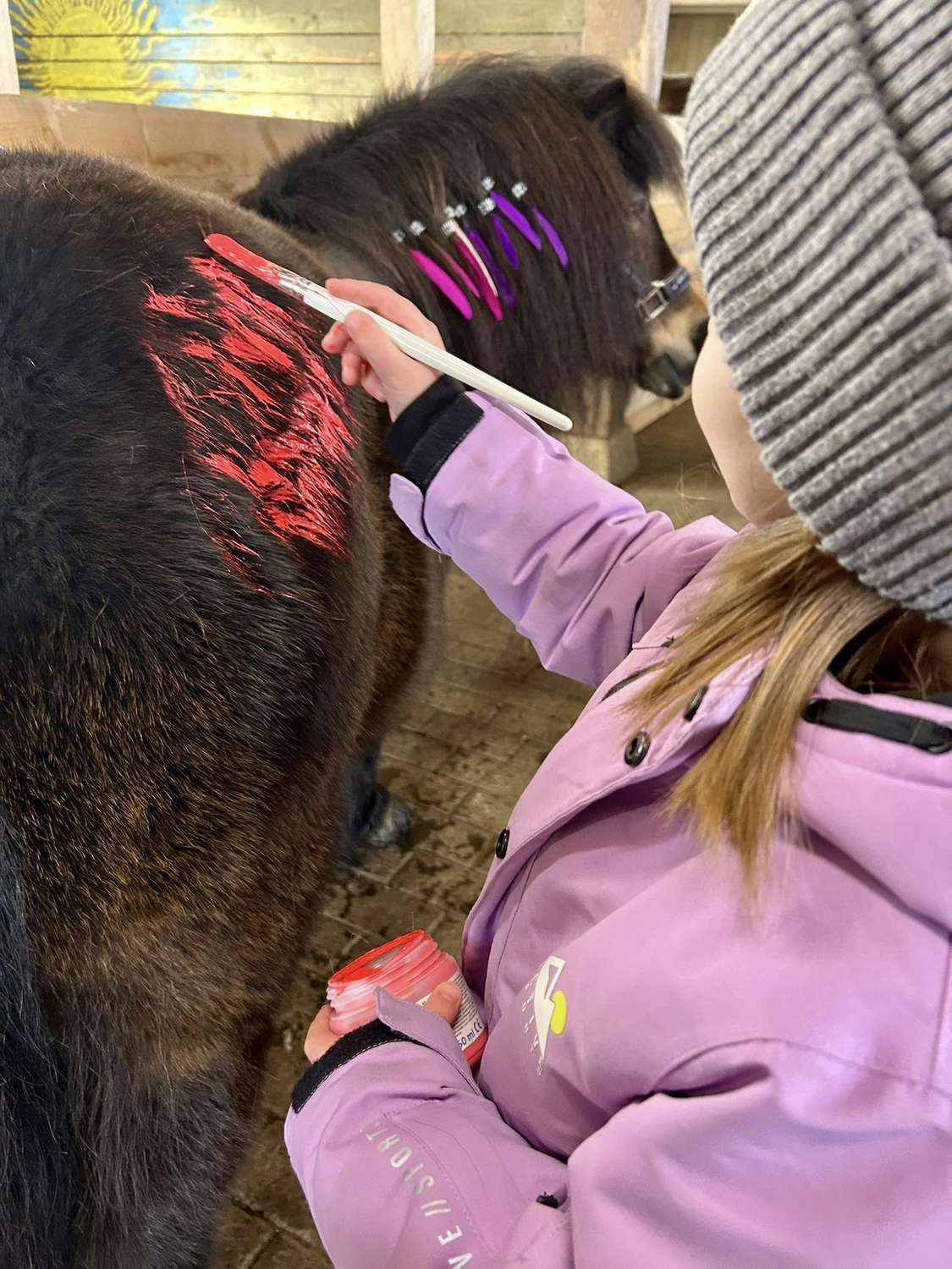 Pferderanch Sauerland – ein Pony, dessen Hinterteil mit bunten Farben bemalt ist und dessen Schweif mit Federn verziert ist.